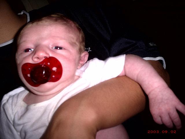 Picture 218.jpg